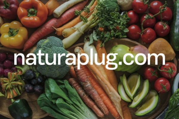 Naturaplug.com